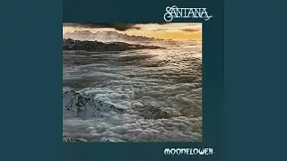 Flor d'Luna (Tom Coster)