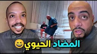 بوريان كان يرقص في هالف مونو 😂😂😂