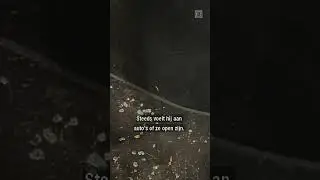 Autodief actief in Eindhoven | #shorts