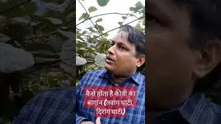 कैसे होता है कीवी काबागान#तवांग_घाटी #दिरांग_घाटी #अरुणाचल_प्रदेश #viralreels #viralvideo  #Update