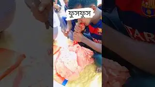 আল্লাহ পাকের সৃষ্টি কত সুন্দর, #ra_rashid_unlimited