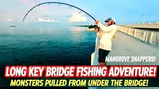 INSANE Bridge Fishing in the Florida Keys! Mangrove Snapper Mayhem & a BULL SHARK?! 😱