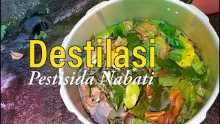 Membuat Pestisida Nabati Dengan Teknik Destilasi