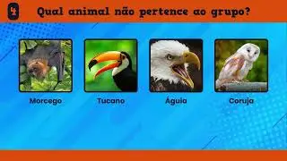 Qual animal não pertence ao grupo?