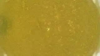 Ловля окуня . Волга, Ульяновская область, 2015 Подводные съемки