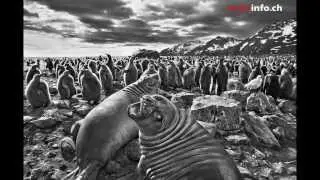 The Genesis of Sebastião Salgado