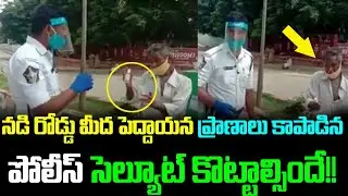 నడిరోడ్డు మీద పెద్దాయన ప్రాణాలు కాపాడిన పోలీస్ .. సెల్యూట్ కొట్టాల్సిందే !  | SahithiMedia