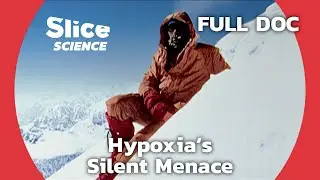 Breathless Heights: The Dangers of Hypoxia | SLICE SCIENCE | FULL DOCUMENTARY