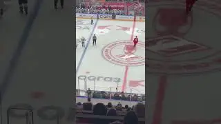 Хоккей обоюдное удаление за грубость