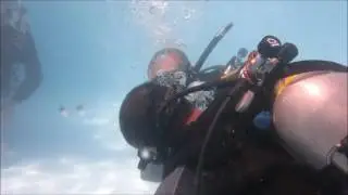 how you control in panicked diver in padi rescu diving course
