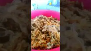 Из чего делают подушки в Алжире?De quoi sont faits les oreillers en Algérie ? 