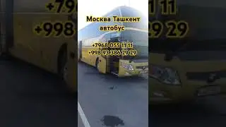 Москва Ташкент Узбекистан #bekkhan_khurramov_ #duet #funny #bgm #automobile #kpop #memes #love #danc