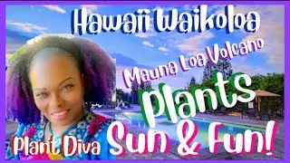 Hawaii Waikoloa Beauty, Plants, Mauna Loa Volcano! Paniolo Greens! Vlog ℒ𝞪𝑑𝝲 ℒ𝞪 Gata7 #plants