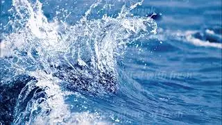 Drink plenty of fresh water sub-liminal