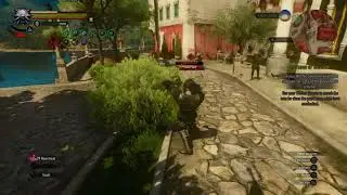 The Witcher Best Build Killing Machine