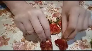 ПРИВЕТ!