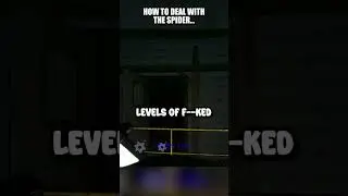 HOW TO DEAL WITH SPIDERS 