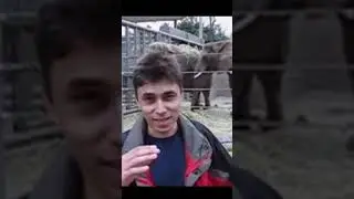 ShortsVids First video on youtube !! me at the zoo #shorts