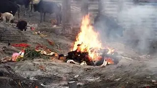 Индия. Варанаси. Кремация мертвых возле реки Ганга.