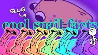 COOL SNAIL FACTS (ft. a cool snail enthusiast on discord)