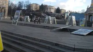 Бизес под елкой или подайте на что угодно