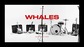flipturn - Whales (Official Music Video)