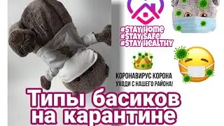 КОРОНАВИРУС?! ТИПЫ БАСИКОВ НА КАРАНТИНЕ/АНАНАСТЯ И БАСИК