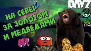 Как мы с Севером на север изоляции ходили #dayz #isolation #movie