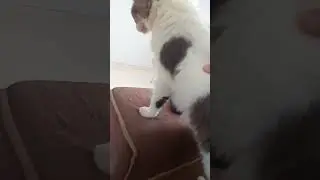 mia parte 2