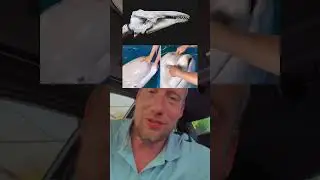 Мягкий лоб ?