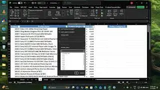 Excel Custom Sorting and Advanced Filter Using Wild Characters
