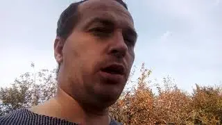 Что делать дачнику осенью?