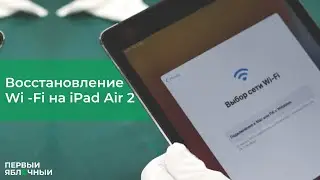 РЕМОНТ: Восстановление Wi-Fi на iPad Air 2