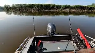 The catfish don't even let you have a quiet lunch!!! Happy holiday to you, Fishermen!!!