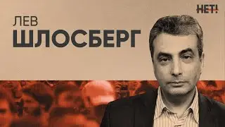 Лев Шлосберг на онлайн-митинге 