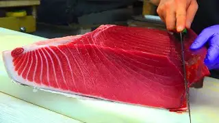 $10,000 Otoro! Cutting a Massive 900-Pound Bluefin Tuna Like Butter
