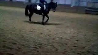 Калип приниман рысь право