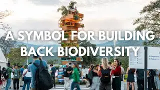 A Game We Can't Afford To Lose - The story behind the #BiodiversityJenga monument at #COP16