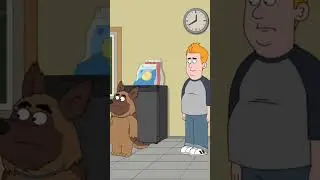 обкуренный пёс