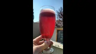 Brewing a Black Currant Saison