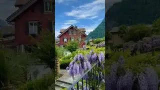 Самая красивая страна в мире🇨🇭 #4k #nature #naturesounds #beautiful #relaxing #релакс