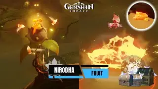 All 12 Nirodha Fruit -  Sumeru Desert - Genshin Impact 3.6 