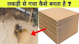 फैक्ट्री में गत्ता कैसे बनता है ? How cardboard is made in Factory ?