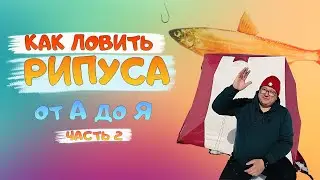 RIPUS. How to CATCH RIPUS in winter. Lake Uvildy. Fishing from A to Z. Ripus Uvildy. Part 2