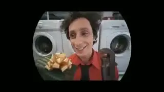 Гуляй Вася)