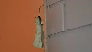 Дома в Раменском районе рушатся из-за вибромашины