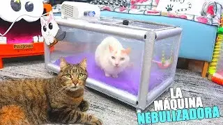 THE NEBULIZING MACHINE