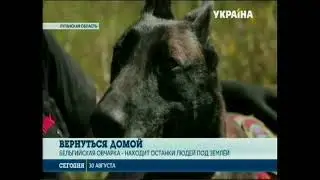 "Повернутися додому"