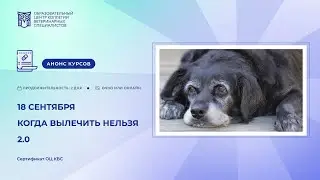 «Когда вылечить нельзя 2.0». Дарья Юсипова