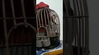 кабки андарак